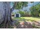A big tree in the backyard provides shade for a metal storage shed at 2004 Windsor Way, Tampa, FL 33619