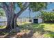The backyard has a metal storage shed, a chainlink fence, and a large shade tree at 2004 Windsor Way, Tampa, FL 33619