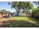 Backyard view showing a large shade tree and a metal storage shed at 2004 Windsor Way, Tampa, FL 33619