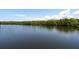 Serene water view from the property showcasing the natural beauty of the surroundings at 3125 Christophers Watch Ln, Ruskin, FL 33570