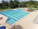 Large lap pool with multiple lanes and lounge chairs, surrounded by lush greenery at 6030 Sandhill Ridge Dr, Lithia, FL 33547