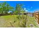Spacious backyard featuring a partially fenced yard and lots of room to relax at 6705 Ranger Dr, Tampa, FL 33615