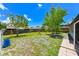 Spacious backyard with a fence and some trees, providing privacy and space for outdoor at 6705 Ranger Dr, Tampa, FL 33615