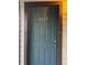 Condo front door painted blue with dark trim displaying unit number 8105 at 8105 Sheldon Shores Dr, Tampa, FL 33615