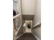 Carpeted staircase leading down with a half wall and railing at 8105 Sheldon Shores Dr, Tampa, FL 33615