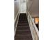 Carpeted staircase with white railing leading to the upper level of the home at 8105 Sheldon Shores Dr, Tampa, FL 33615