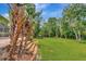 Backyard and gazebo amid lush greenery and mature trees at 10305 Worthy Lamb Way, New Port Richey, FL 34654