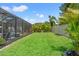 Expansive backyard featuring a lush green lawn, privacy fence, and tropical landscaping at 11742 Lake Lucaya Dr, Riverview, FL 33579