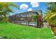 Exterior view of backyard featuring screened-in pool, manicured lawn, and tropical landscaping at 11742 Lake Lucaya Dr, Riverview, FL 33579
