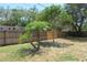 A backyard featuring a wooden fence, a palm tree, and other trees surrounding the perimeter at 1344 S Michigan Ave, Clearwater, FL 33756