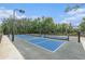 Community pickleball courts providing recreational opportunities for residents at 18108 Ashton Park Way, Tampa, FL 33647