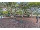 Fun-filled playground area with swings, slides, and climbing structures amidst a natural setting at 18108 Ashton Park Way, Tampa, FL 33647