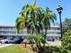 Well-maintained condo building featuring multiple stories and a beautiful landscaped yard with tropical palm trees at 2261 Swedish Dr # 59, Clearwater, FL 33763