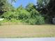 Expansive undeveloped lot with lush greenery and natural vegetation offering privacy and potential at 24741 Ravello St, Land O Lakes, FL 34639