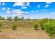 View from backyard showing open grassy space and wetlands beyond the property at 3041 Waterfall Dr, Spring Hill, FL 34608