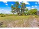 Large backyard featuring mature trees and an open lawn, ideal for recreation and relaxation at 3041 Waterfall Dr, Spring Hill, FL 34608