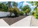 Beautifully landscaped front yard with fresh mulch, mature trees, and sidewalk at 3801 Dr Martin Luther King Jr N St, St Petersburg, FL 33703