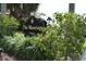 Community sign for The Moorings is surrounded by lush landscaping including palm trees at 420 Moorings Cove Dr # 420, Tarpon Springs, FL 34689