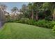 Expansive backyard with lush green lawn and mature trees, offering privacy at 5027 Cross Pointe Dr, Oldsmar, FL 34677