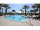 Beautiful pool with palm trees and lounge chairs provides a resort-like experience at 5410 Morey Farms Loop, Palmetto, FL 34221