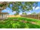 Well-manicured backyard with lush grass, mature trees, and a wooden fence, perfect for outdoor enjoyment at 7400 Belvedere Ter, New Port Richey, FL 34655