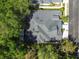Aerial view showcases the roof and surrounding trees at 10716 Ashford Oaks Dr, Tampa, FL 33625