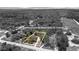 Monochrome aerial image highlighting property lines at 11207 Donnymoor Dr, Riverview, FL, surrounded by lush greenery at 11207 Donneymoor Dr, Riverview, FL 33569