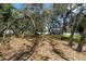 Expansive backyard with mature trees, offering a serene and private space ready for landscaping and outdoor enjoyment at 11207 Donneymoor Dr, Riverview, FL 33569