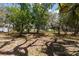 Lush backyard with mature trees, offering a tranquil setting and plenty of space for outdoor activities and gardening at 11207 Donneymoor Dr, Riverview, FL 33569