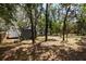 Spacious backyard with mature trees, offering a serene and private outdoor space with the potential for customization at 11207 Donneymoor Dr, Riverview, FL 33569