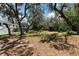 Expansive backyard with mature trees providing ample shade and privacy, ready for outdoor activities and relaxation at 11207 Donneymoor Dr, Riverview, FL 33569