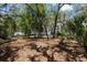 Secluded backyard with mature trees and palm trees, providing a serene and private outdoor space ready for customization at 11207 Donneymoor Dr, Riverview, FL 33569