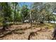 Lush backyard with mature trees, offering a serene outdoor space with potential for landscaping and outdoor enjoyment at 11207 Donneymoor Dr, Riverview, FL 33569