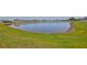 Scenic backyard view featuring a tranquil lake surrounded by lush greenery at 11924 Brighton Knoll Loop, Riverview, FL 33579