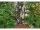 Lush backyard view featuring mature trees, birdhouses, and serene canal view at 1240 Harbor Lake Dr, Largo, FL 33770