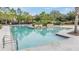 Community pool with clear water, lounge seating, and mature landscaping providing privacy at 13614 Stevenson Ln, Odessa, FL 33556