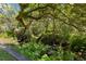 Lush backyard featuring mature trees and a flowing creek at 2033 Arbor Dr, Clearwater, FL 33760