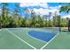A multi-use community sports court with basketball and volleyball areas, surrounded by trees, for fitness and recreation at 2614 Brookforest Dr, Wesley Chapel, FL 33544