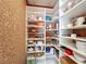 Spacious walk-in pantry with ample shelving for food storage and organization at 2742 Sea Pines E Cir, Clearwater, FL 33761