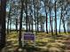 Private waterfront park with tall pine trees and a view of the bay at 2750 Reserve Ct # 101, Dunedin, FL 34698