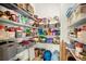Walk-in pantry with ample shelving, baskets, and storage space for organization at 3952 Almond Brook Blvd, Land O Lakes, FL 34638