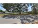 View of the front yard with a large tree at 39772 Meadowood Loop, Zephyrhills, FL 33542