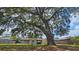 Charming home featuring a large tree in the front yard, providing shade and curb appeal in a desirable neighborhood at 39772 Meadowood Loop, Zephyrhills, FL 33542