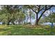 A scenic neighborhood featuring green grass, trees, blue skies and a lake view creating a peaceful atmosphere at 39772 Meadowood Loop, Zephyrhills, FL 33542