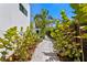 Charming walkway lined with plants, creating a welcoming path through a beautifully landscaped yard at 500 38Th Ne Ave, St Petersburg, FL 33704