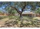 Expansive backyard featuring a large shade tree, a wooden fence, and a screened-in porch at 6241 Ansley St, Spring Hill, FL 34606