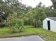 Backyard featuring a shed, trees, and a pink flowering bush in a verdant setting at 6317 Buster Dr, Tampa, FL 33619