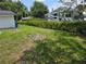 Backyard featuring a lush green hedge, offering privacy and a natural backdrop at 6317 Buster Dr, Tampa, FL 33619