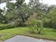 Lush backyard featuring mature trees, flowering shrubs, and green lawn, creating a serene outdoor space at 6317 Buster Dr, Tampa, FL 33619