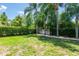 Lush backyard featuring a green lawn, mature palm trees, and manicured hedges at 6933 Cozumel Ct, Land O Lakes, FL 34637
